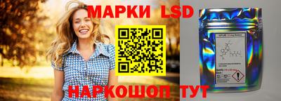 гидропоника Дубна