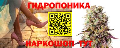 гидропоника Дубна