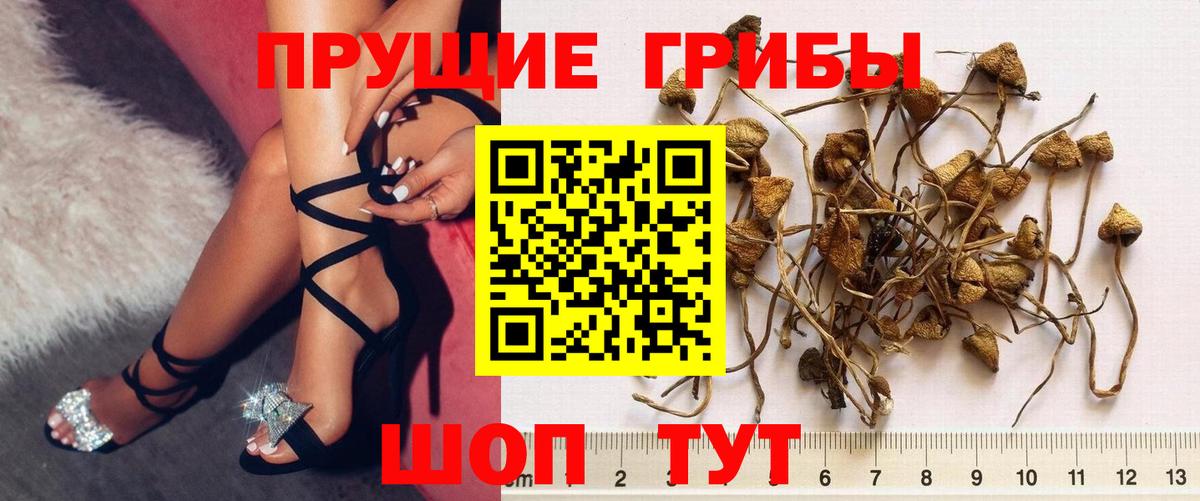 Миасс  Галлюциногенные грибы ЛСД  Галлюциногенные грибы MAGIC MUSHROOMS  Вход с VPN 
