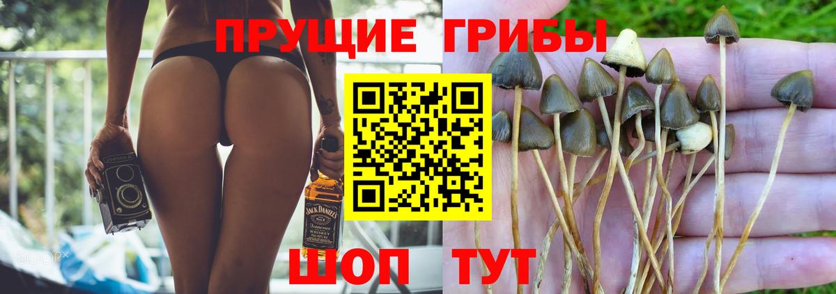 Галлюциногенные грибы мухоморы Миасс
